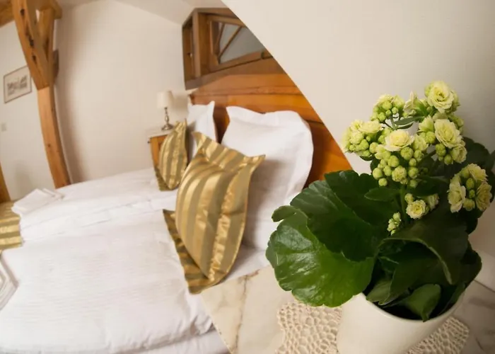 B&B Dom Zegarmistrza 4*